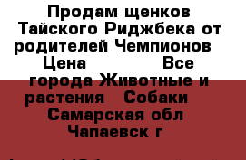 Продам щенков Тайского Риджбека от родителей Чемпионов › Цена ­ 30 000 - Все города Животные и растения » Собаки   . Самарская обл.,Чапаевск г.